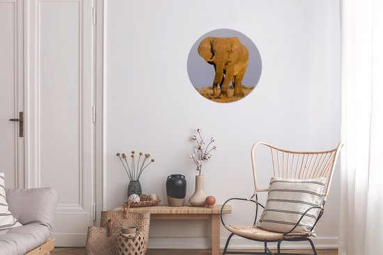 Wall Circle - Wall Circle Indoor - Éléphant - Animal - Herbe - 30x30 cm - Décoration murale - Peintures Ronds