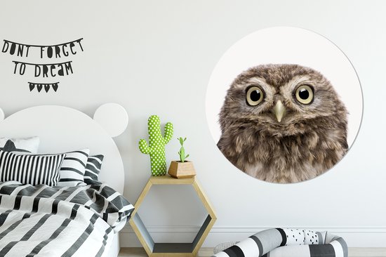 WallCircle - Wall Circle - Wall Circle Indoor - Animaux - Hibou - Wit - 140x140 cm - Décoration murale - Peintures Ronds
