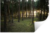 Sticker Muursticker Forêt - Soleil qui brille à travers les arbres de la forêt - 90x60 cm - feuille autocollante - sticker mural repositionnable