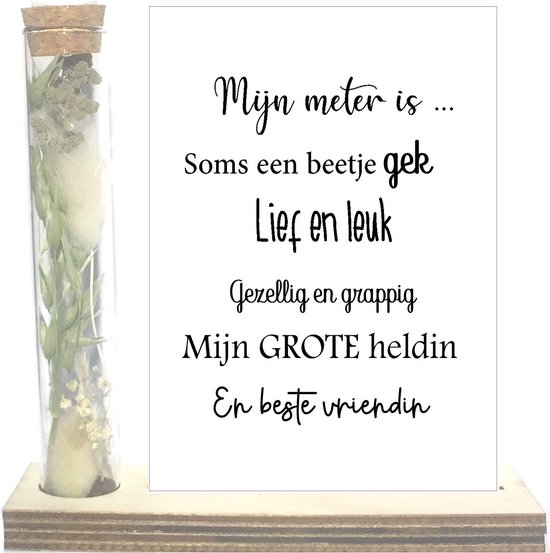 Droogbloemen in buisje liefste Meter | taupe | liefste Meter | allerliefste Meter | meter vragen |  meter worden | cadeau | de liefste