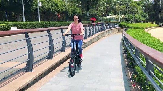 Hi-Flying Top 706a Elektrische fiets Elektrische Vouwfiets Dual battery  250w 2x7ah | bol.com