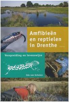 Amfibieen En Reptielen In Drenthe