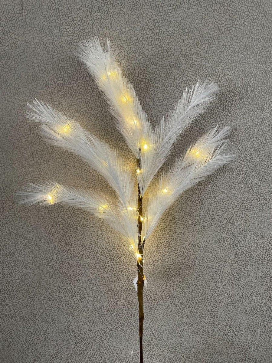 HBX Decoratietak LED lampjes wit 90 cm