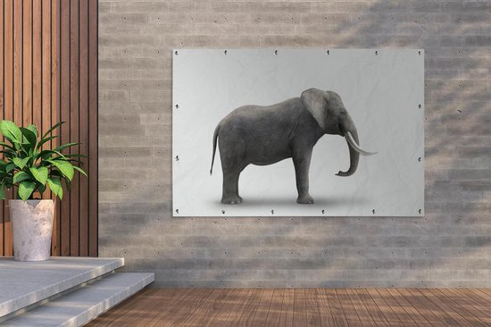 Décoration murale Eléphant sur fond blanc - 180x120 cm - Poster jardin - Toile jardin