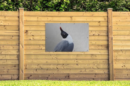 Poster Jardin mouette souriante 120x80 cm - Toile de jardin / Toile d'extérieur / Peintures d'extérieur (décoration de jardin)