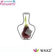 NWF® Waxz Formz Classic Bordeaux