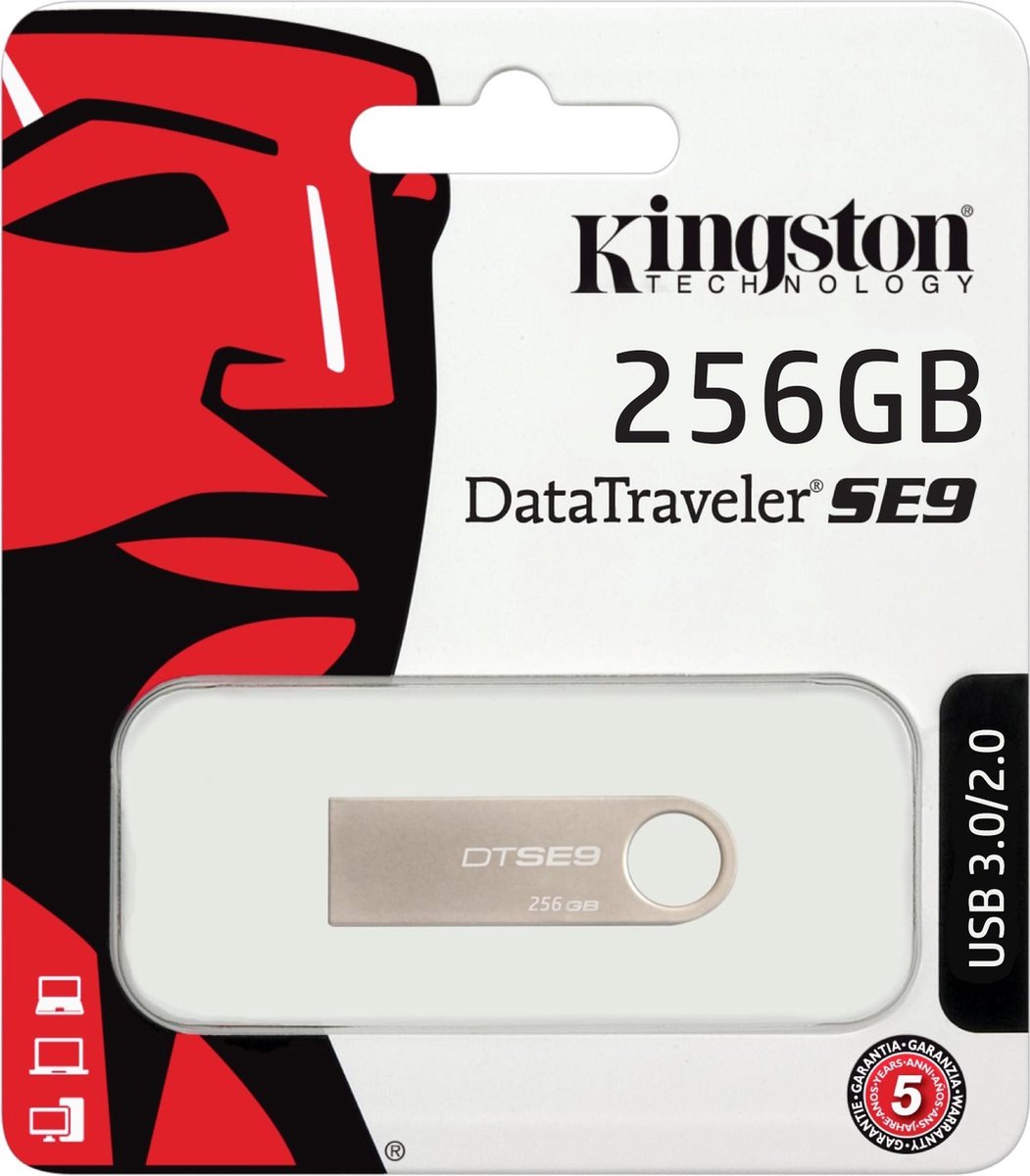 Kingston USB Flash DataTraveler SE9 – 256GB