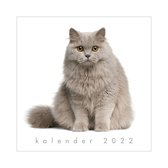 Hobbit jaarkalender katten 2022 - vierkant formaat - maand - katten
