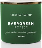 Colonial Candle – Pop Of Color Evergreen Forest - 411 gram | geurkaars voor winter en kerst |