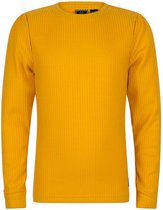 Indian Blue Jeans Longsleeve meisje golden yellow maat 164