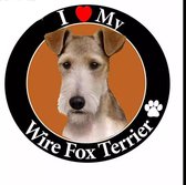 Wire Fox Terrier- I love my Wire fox Terrier