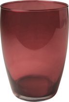 Essentials Hood paars transp. H20