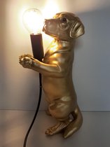 Teckel beeldjes teckel lamp goudkleur inclusief ledlamp  van Kitchen Trend  30x13x13 cm