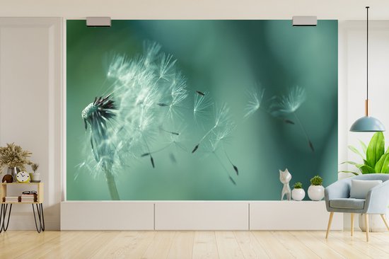 Graines de fotobehang de pissenlit