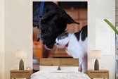 Behang - Fotobehang Kat - Hond - Samen - Breedte 170 cm x hoogte 260 cm