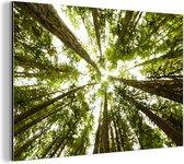 Wanddecoratie Metaal - Aluminium Schilderij Industrieel - Hoge groene bomen in jungle - 90x60 cm - Dibond - Foto op aluminium - Industriële muurdecoratie - Voor de woonkamer/slaapkamer