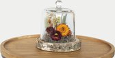 Droogbloemenboeket - Droogbloemen - Droogbloemen in glazen stolp 13cm - Suzie - Decoratie