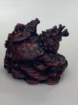 Feng Shui Drakenschildpad op geluksmuntjes