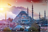 Stadsgezicht van Istanbul met de Süleymaniye Moskee - Foto op Tuinposter - 225 x 150 cm