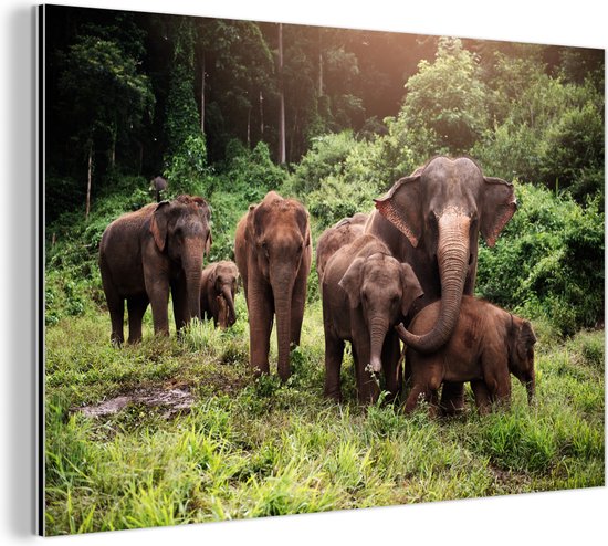 Wanddecoratie Metaal - Aluminium Schilderij - Wilde olifanten