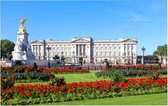 Gazon in bloei voor het Buckingham Palace in Londen - Foto op Forex - 60 x 40 cm