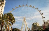 Het grote reuzenrad van Las Vegas vanuit hotel The Linq - Foto op Forex - 45 x 30 cm