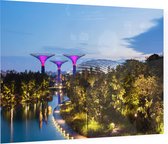 Supertree Grove in Gardens by the Bay in Singapore - Foto op Plexiglas - 90 x 60 cm