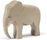 Ostheimer Elephant female