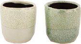 - planter ceramic ø8x8.5cm c / 2 - green mix - 8x852x