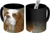 Magische Mok - Foto op Warmte Mok - Een Cavalier King Charles-spaniël kijkt omhoog - 350 ML