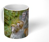 Mok - Koffiemok - Apen - Stenen - Bos - Mokken - 350 ML - Beker - Koffiemokken - Theemok