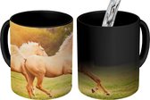 Magische Mok - Foto op Warmte Mok - Paarden - Gras - Zon - 350 ML