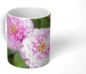 Mok - Kleurrijke zinnias bloemen - 350 ML - Beker