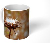 Mok - Gedroogde distel sepia fotoprint - 350 ML - Beker