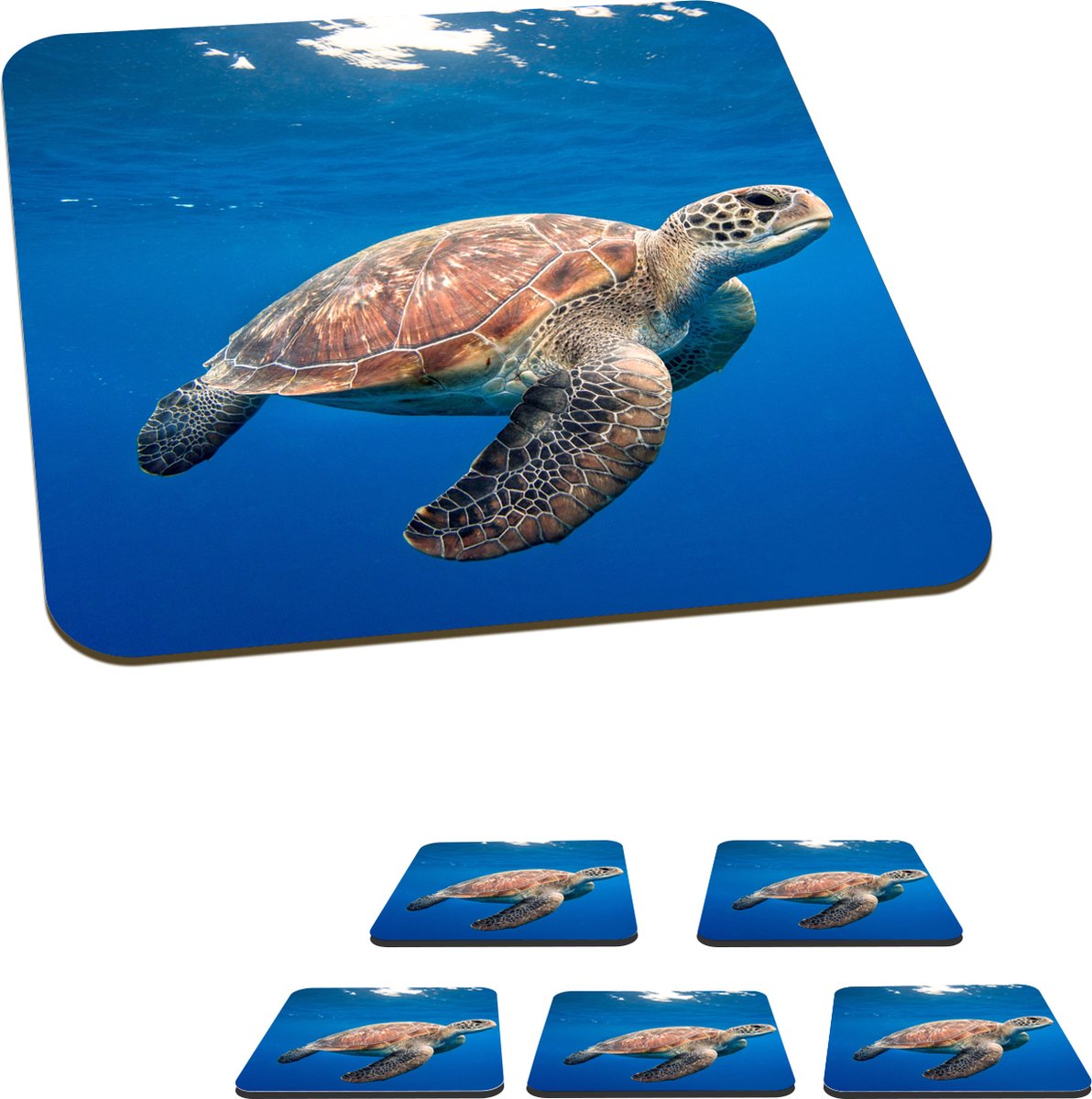 Onderzetters voor glazen - Schildpad in de oceaan - 10x10 cm - Glasonderzetters - 6 stuks