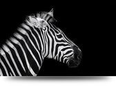 Maison de France - Aluminium Zebra - zwartwit - aluminium - 80 x 120 cm