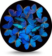 Maison de France - Dibond  Rond - blauwe vlinders - wit dibond / rond - 120 cm