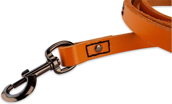 Leren hondenriem - 220cm - volledig zwart - gevlochten… | Brute Strength