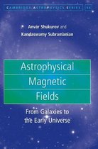 Astrophysical Magnetic Fields