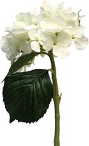 Hortensia - Wit - 45cm