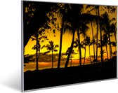 Invroheat infrarood verwarmingspaneel 'Tropical Sunset' - 800Watt - 91.5x61cm - Een Invroheat paneel is duurzaam, zeer energie efficiënt en warmt snel op - afbeelding verwisselbaar