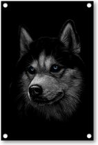 Siberische husky met blauwe ogen - Tuinposter 80x120 - Wanddecoratie - Dieren