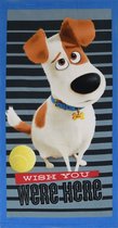 ApolloX badlaken The Secret Life of Pets junior 70 x 140 cm