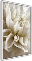 Ingelijste Poster - Dahlia II Witte lijst