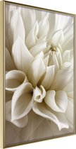 Ingelijste Poster -  Dahlia II Goudkleurige lijst