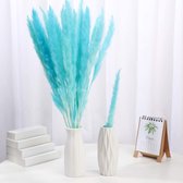 Pampas Pluimen Licht Blauw – Natuurlijke Tint - 20 stuks – Pampas Gras – 70 cm – Droogbloemen – Cortaderia – Droogbloemen Boeket – Pampasgras - Decoratie