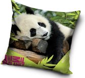 Animal Planet Panda - Sierkussenhoes - 40 x 40 cm