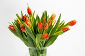 Tulpen 50 stuks Oranje, voorjaarsbloemen, snijbloem, boeket, gratis thuis bezorgt