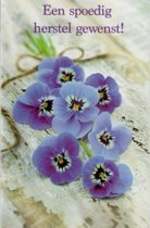 Een spoedig herstel gewenst! Een mooie wenskaart met donkerblauw/paarse viooltjes. Een dubbele wenskaart inclusief envelop en in folie verpakt.
