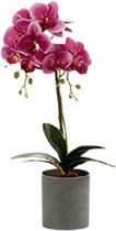 Ibergarden Kunstplant Orchidee 51 Cm Roze/grijs